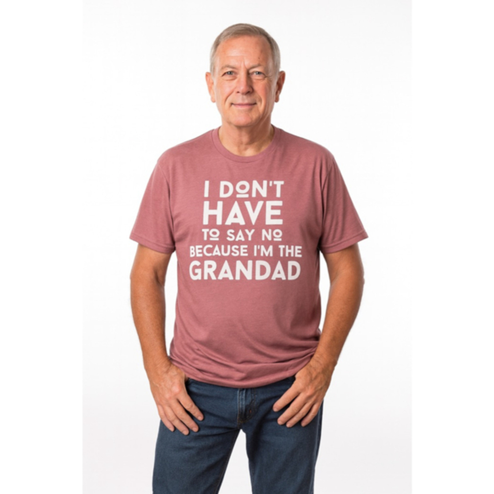 Bella Canvas Mens Xxl Big  Tall Grandad Graphic Tee